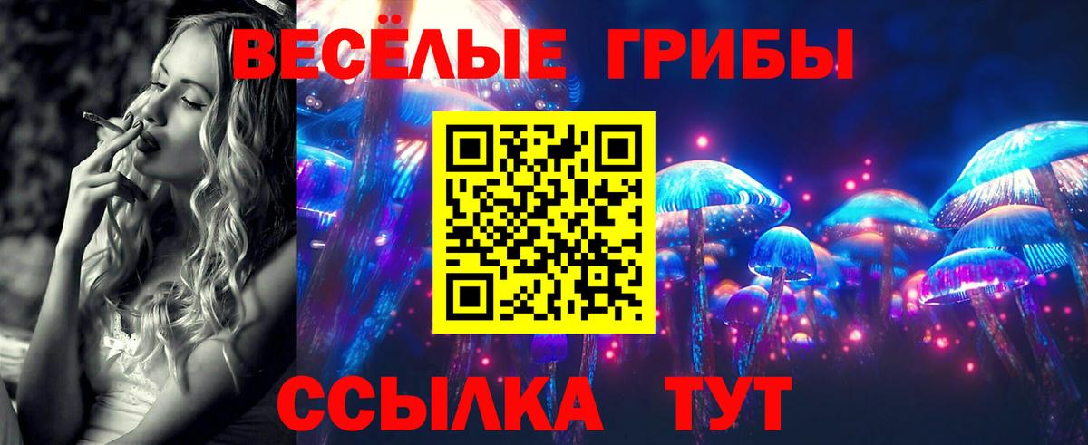 Нефтекамск  Галлюциногенные грибы прущие грибы  Вход с VPN 